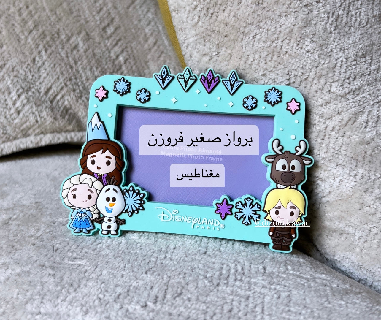 Frozen Magnet Photo Frame